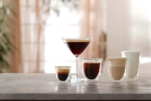 Ekspres kolbowy DeLonghi Classic EM450.M