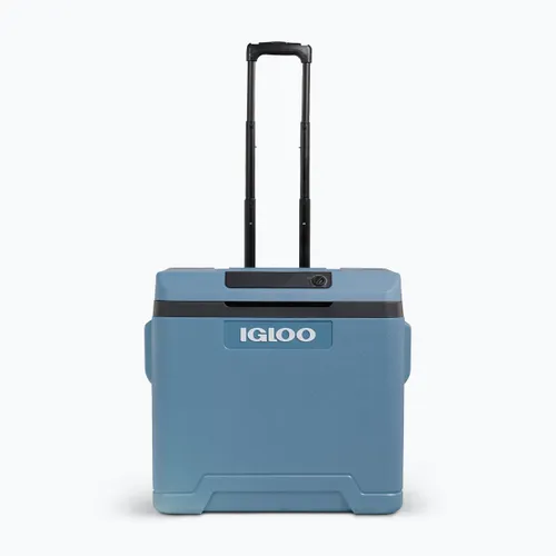 Lodówka turystyczna termoelektryczna Igloo IE42 ACDC 42 l ice blue