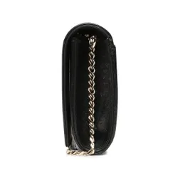 Ted Baker Pungă Metalică Pe Lanț 266751 Negru