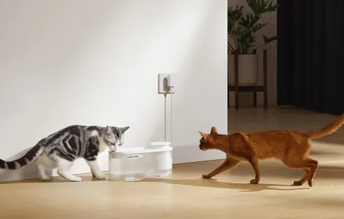 Fontanna dla zwierząt MOVA WF10 Pro