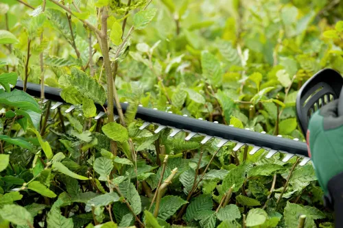 Триммер для живой изгороди Bosch UniversalHedgeCut 18V-50