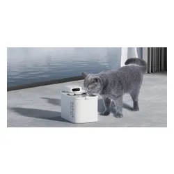 Fontanna dla zwierząt PETKIT EverSweet Max