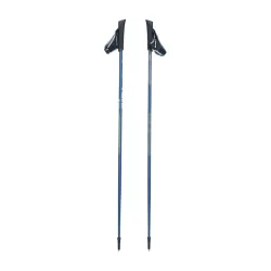 Kije do Nordic Walking Viking Forrester