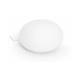 Philips Hue White and Colour Ambiance Flourish
