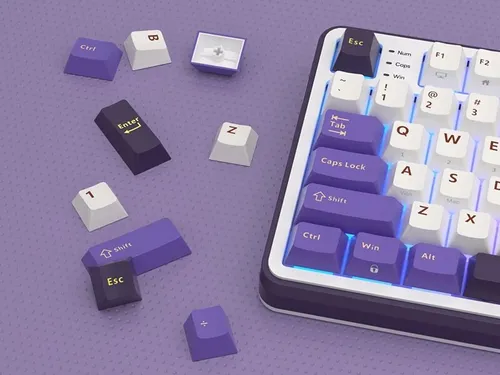 Klawiatura ROYAL KLUDGE RK-S98 Chartreuse Switch Biało-fioletowy