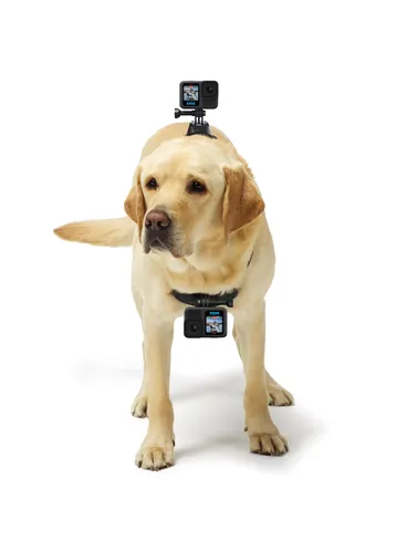 Kamera GoPro Hero 13 - black