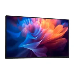 Monitor Dell P2725H WOST 27" Full HD IPS 100Hz 5ms Bez podstawy