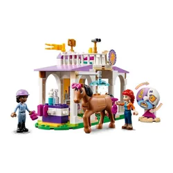 Конструктор LEGO Friends 41746 обучение лошадей