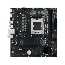 Płyta główna Biostar A620MS