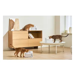 Fontanna dla zwierząt CATLINK Pure 3 CL-WB-01