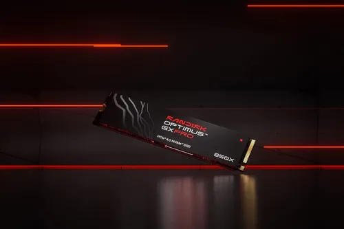 Dysk SANDISK Optimus GX Pro 850X 1TB SSD