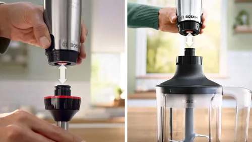 Blender BOSCH ErgoMaster MSM6M652