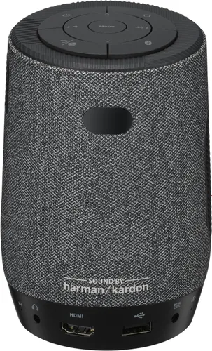 ASUS ZenBeam Latte L1