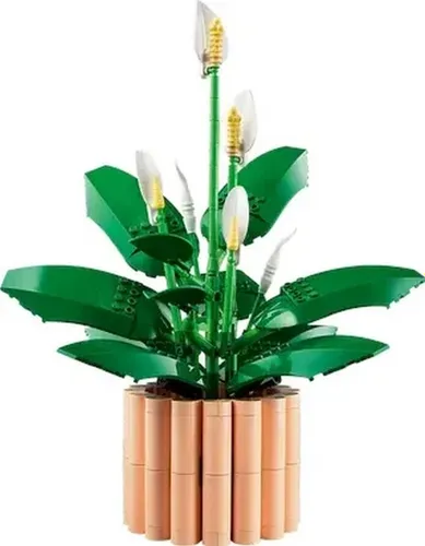 LEGO Botanicals 11504 Skrzydłokwiat