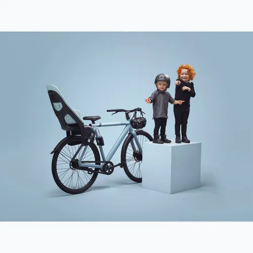 Детское велокресло THULE Yepp 2 Maxi