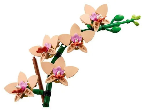 LEGO Botanical Collection 10343 Mała orchidea