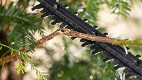 Nożyce do żywopłotu BOSCH EasyHedgeCut 18V-44-11 0600849H06