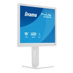 Monitor iiyama ProLite B1980S-W1 19" TN HD 75Hz 3ms