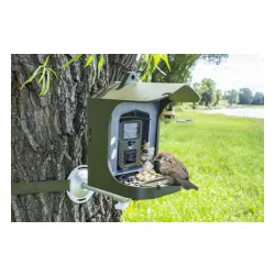 Karmnik dla ptaków Technaxx z kamerką TX-165