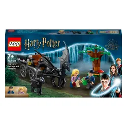 LEGO 76400 Harry Potter Testrale i kareta z Hogwartu