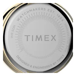 Timex City TW2V24400 Gold saati