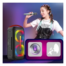 Głośnik Bluetooth BLOW DJBOX 250W Czarny