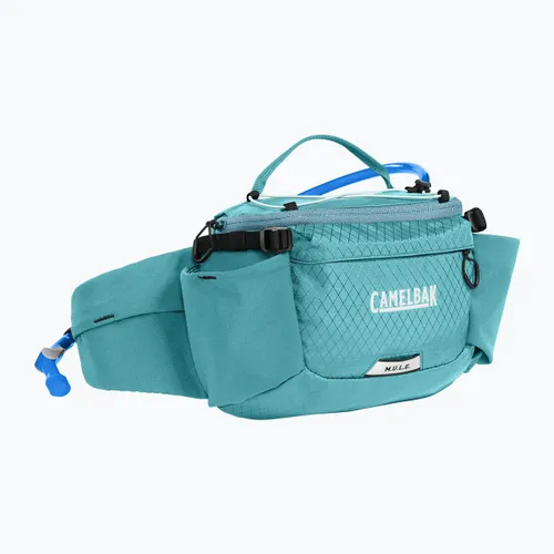Сумка на пояс велосипедная CAMELBAK MULE 5 Waist Pack Kidney Carrying Case