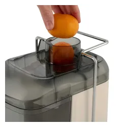 Sokowirówka Russell Hobbs 28770-56
