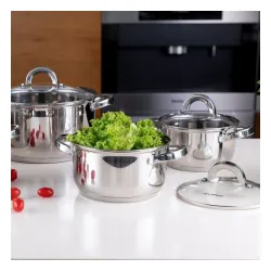 Garnek ze stali nierdzewnej z pokrywką FLORINA CLAUDE 2,6 l