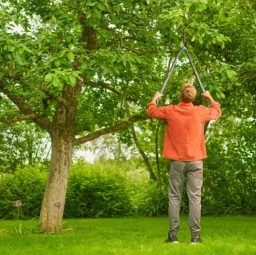 Sekator do gałęzi GARDENA TeleCut Pro L 12041-20