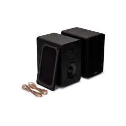 Kolumny Aiwa SP-A100 Czarny 2szt.