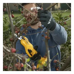 Sekator do gałęzi akumulatorowy STIGA SC 100e