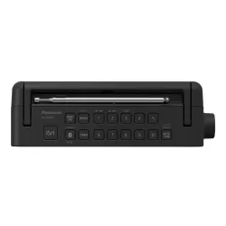 Radioodbiornik Panasonic RF-D30BTEG-K