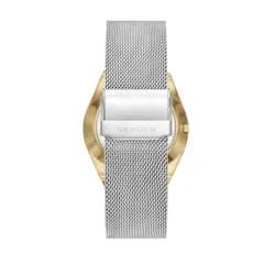 Skagen Grenen Skw6816 Gümüş Saat