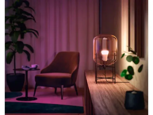 Żarówka LED Philips Hue White and Colour Ambiance E27 2 szt.