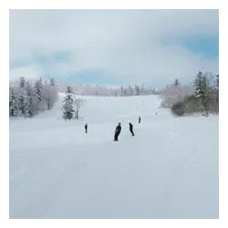 Deska Rome Slapstick Youth 2026