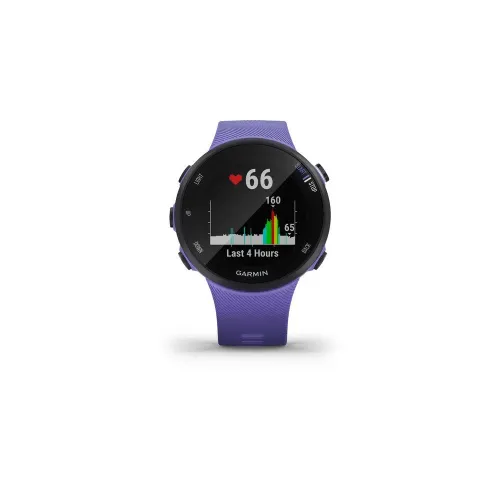 Смарт-часы Garmin Forerunner 45S ирис (010-02156-11)