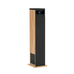 Kolumna Aiwa TSBT-360 Drewno 1szt.