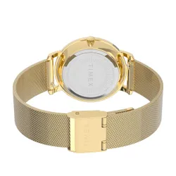 Timex City TW2V52300 Gold / Gold saati