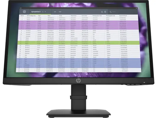 Monitor HP P22 G4 22