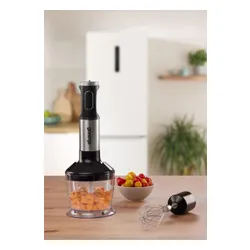 Blender GORENJE HBX1000EB