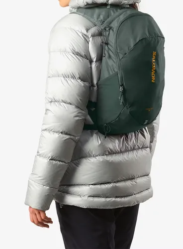 Plecak turystyczny Salomon Trailblazer 10 - urban chic/green milieu