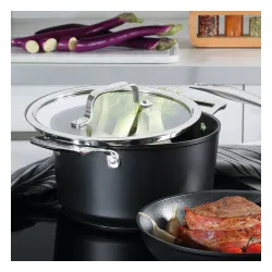 SPRING Meridian Intense Pro 3,0 l - garnek ze stali nierdzewnej z pokrywką