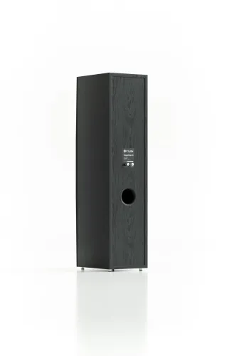 Kolumny Pylon Audio Sapphire 31 Czarny 2szt.
