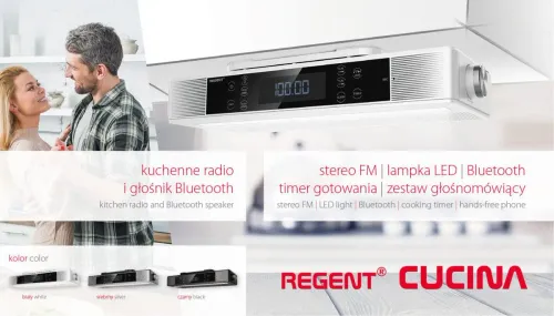 Radioodbiornik Ferguson Regent Cucina Radio FM Bluetooth Srebrny