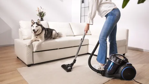 Odkurzacz CECOTEC Conga Rockstar Multicyclonic XXL Animal Plus