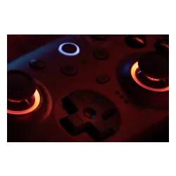 Pad 8BitDo Ultimate 2 Wireless Controller do PC, Android Bezprzewodowy WUCHANG: Fallen Feathers