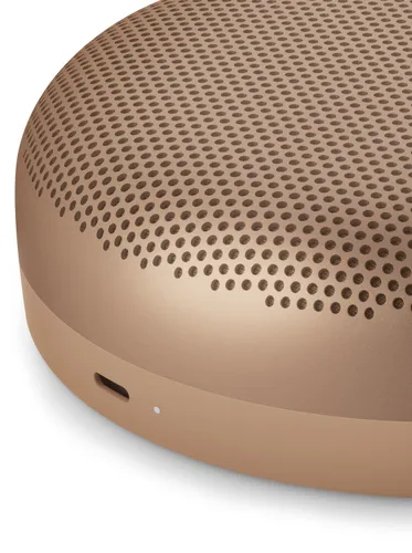 Głośnik mobilny BANG & OLUFSEN Beosound A1 3rd Gen Brązowy