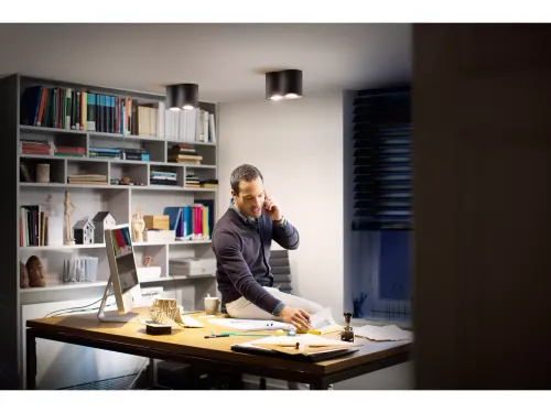 Oświetlenie punktowe Philips Hue White Ambiance Podwójne Pillar Czarny