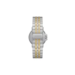 Часы наручные Skagen Signature SKW6921
